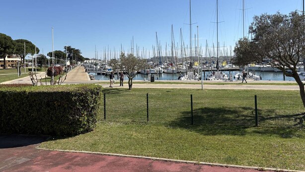 A marina with numerous sailboats docked, a clear sky, and a pathway leading to the water.