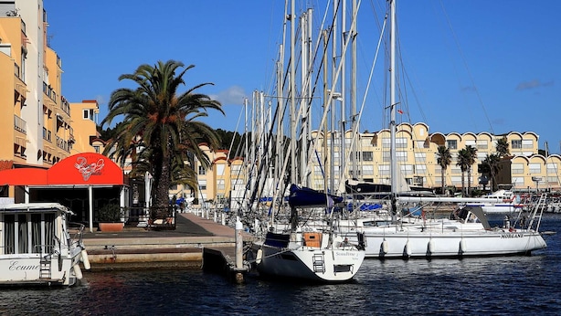 Un port de plaisance où sont amarrés plusieurs voiliers, un palmier et des bâtiments en arrière-plan.
