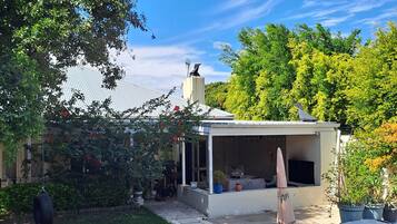 A covered outdoor patio with a grill, potted plants, and a hanging tire swing.
