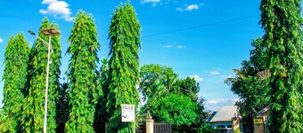 Paula Guest House