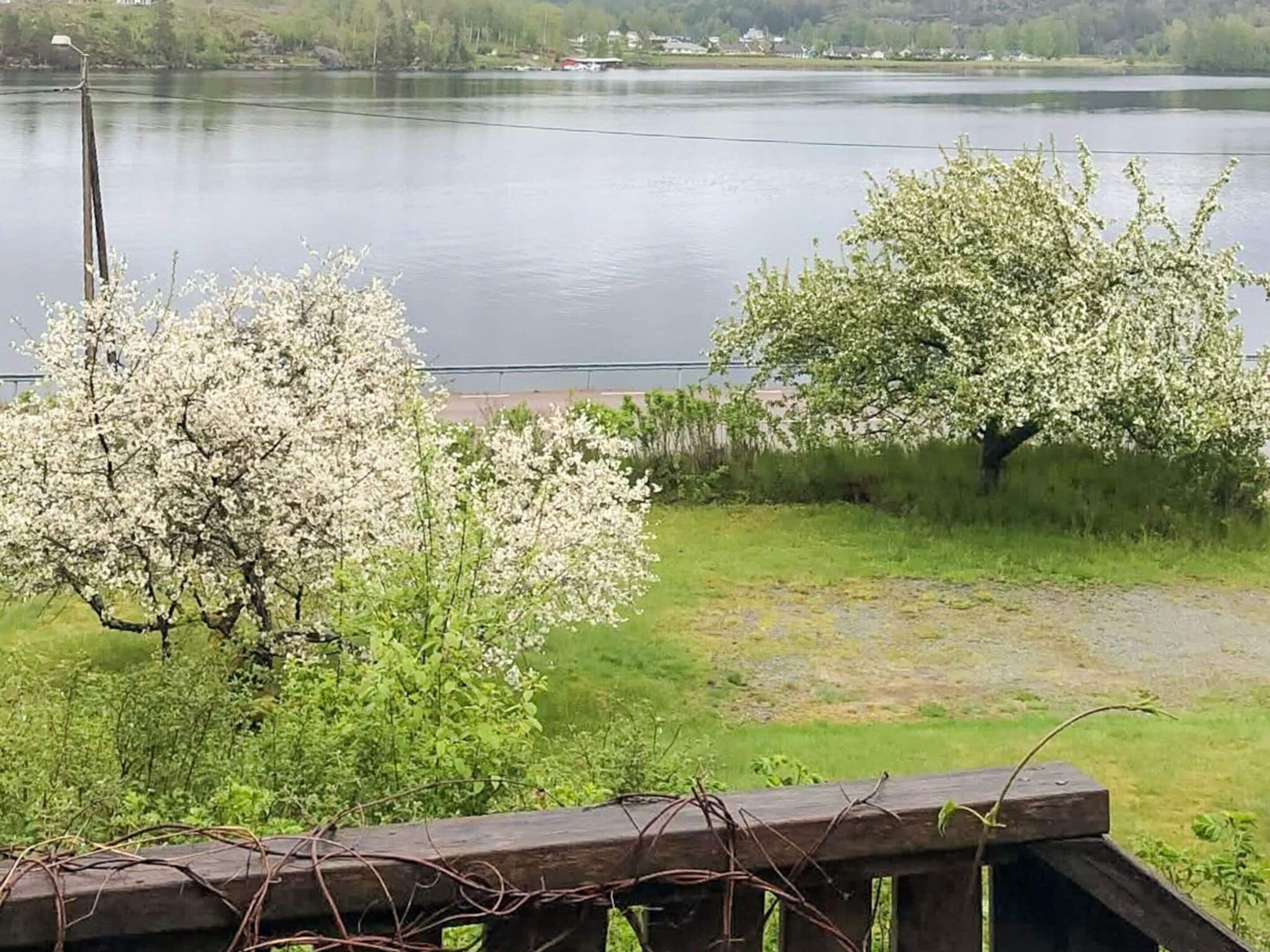 Um lago com árvores floridas ao primeiro plano e uma vista distante de casas do outro lado da água.