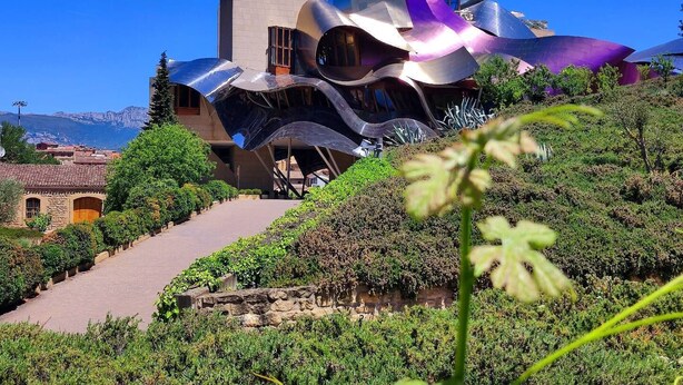 Un edificio moderno con arquitectura distintiva, rodeado de vegetación y un cielo despejado.