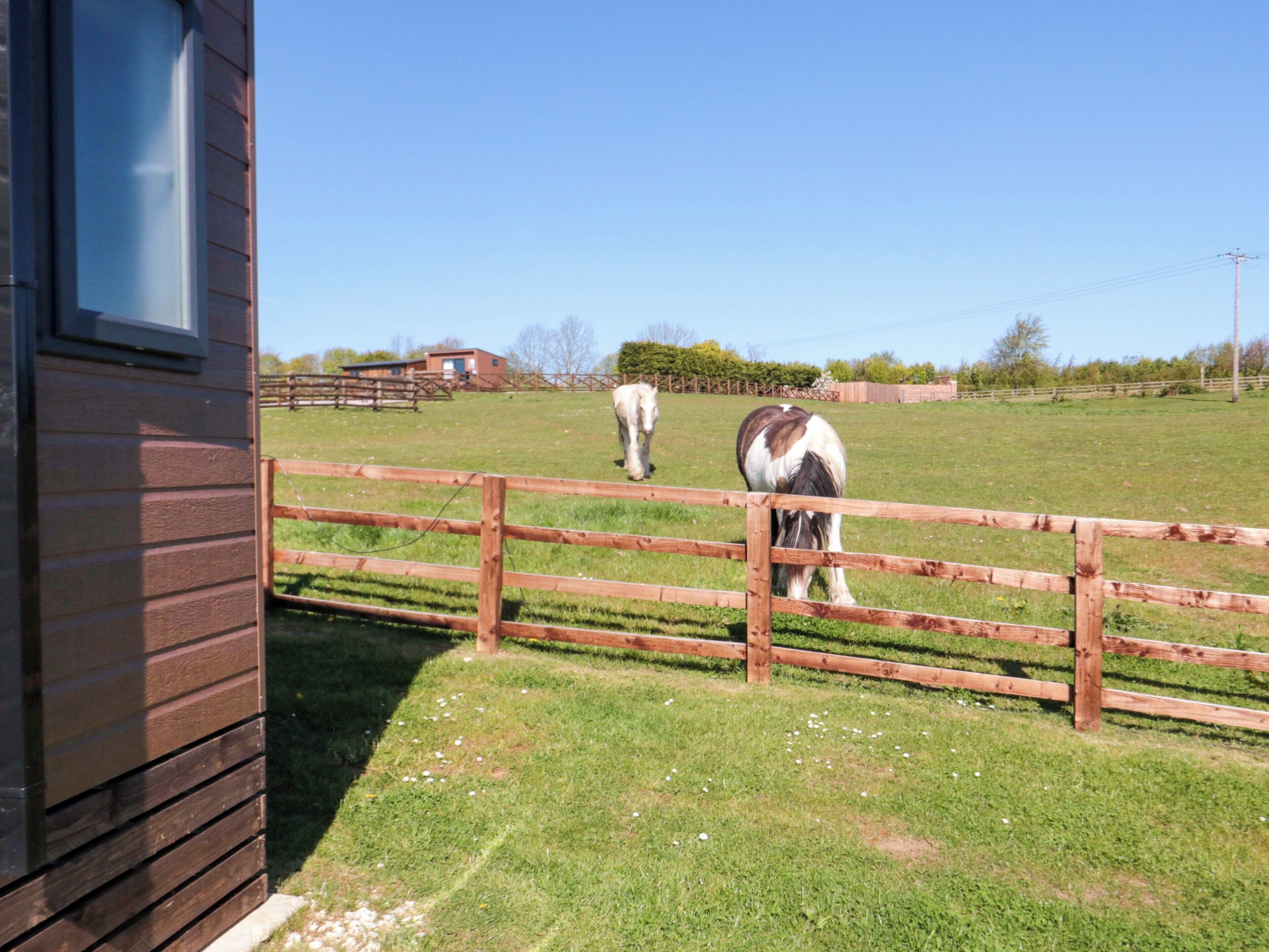 A wooden fence, a stable, and horses in a grassy field.