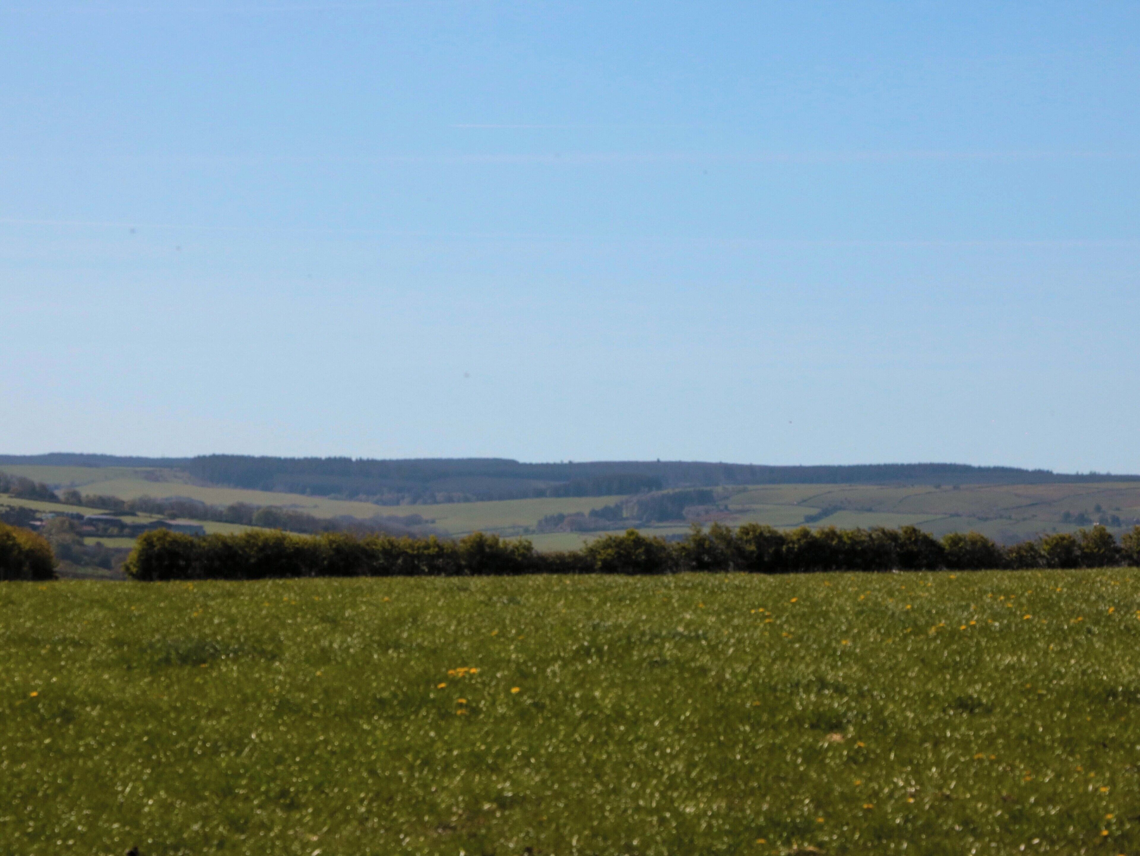 A wide-open field with a clear sky.