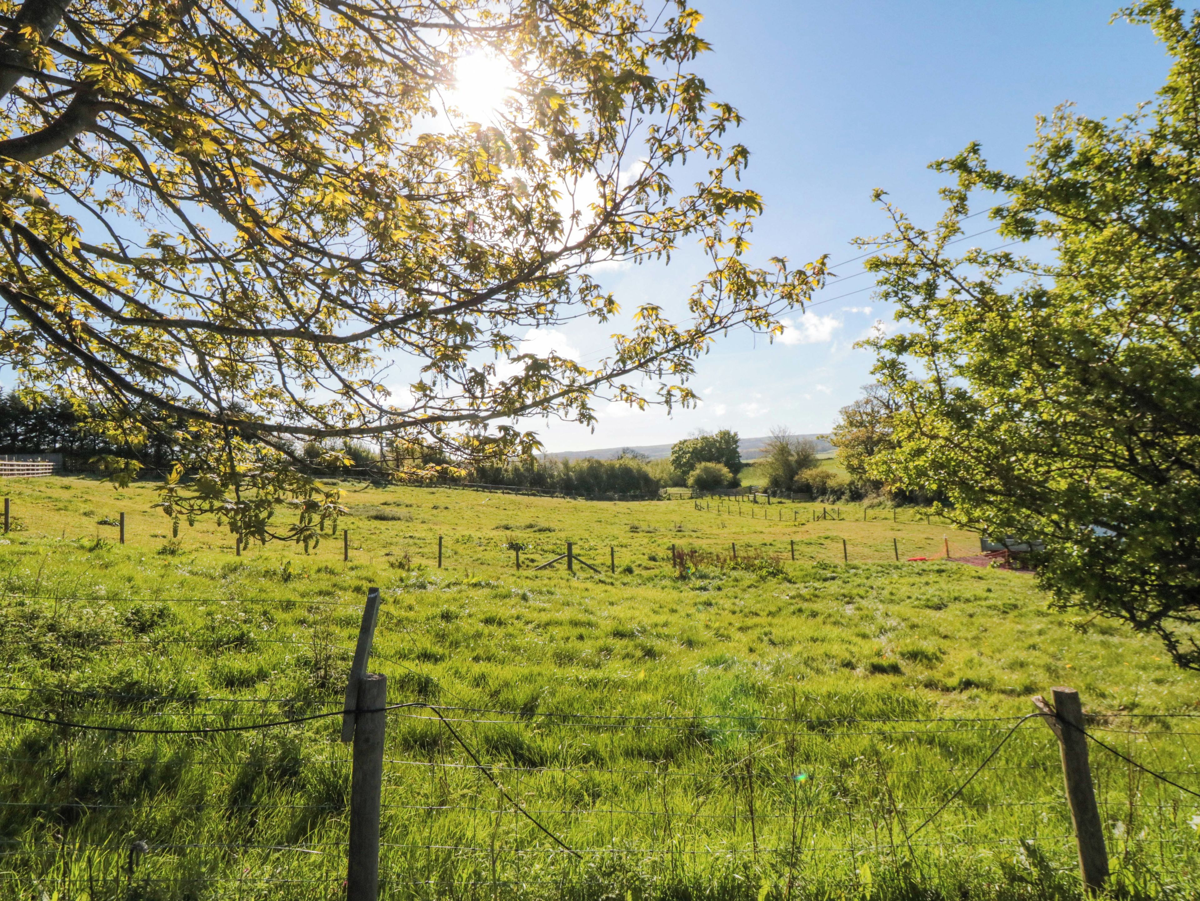 A fenced grassy field with trees and a clear sky.