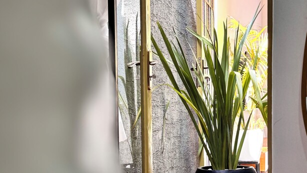 Une porte qui mène à une pièce où se trouvent un lit, une plante en pot et un mur à motifs.