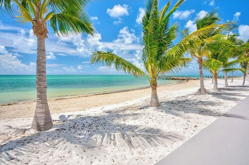 Relax and Unwind at the Colony!