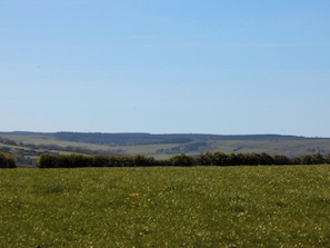 Ein weites Feld unter blauem Himmel.