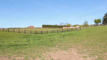 Cottage | Property grounds