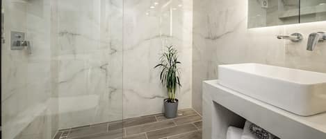 Douche, séchoir à cheveux, serviettes fournies, papier de toilette