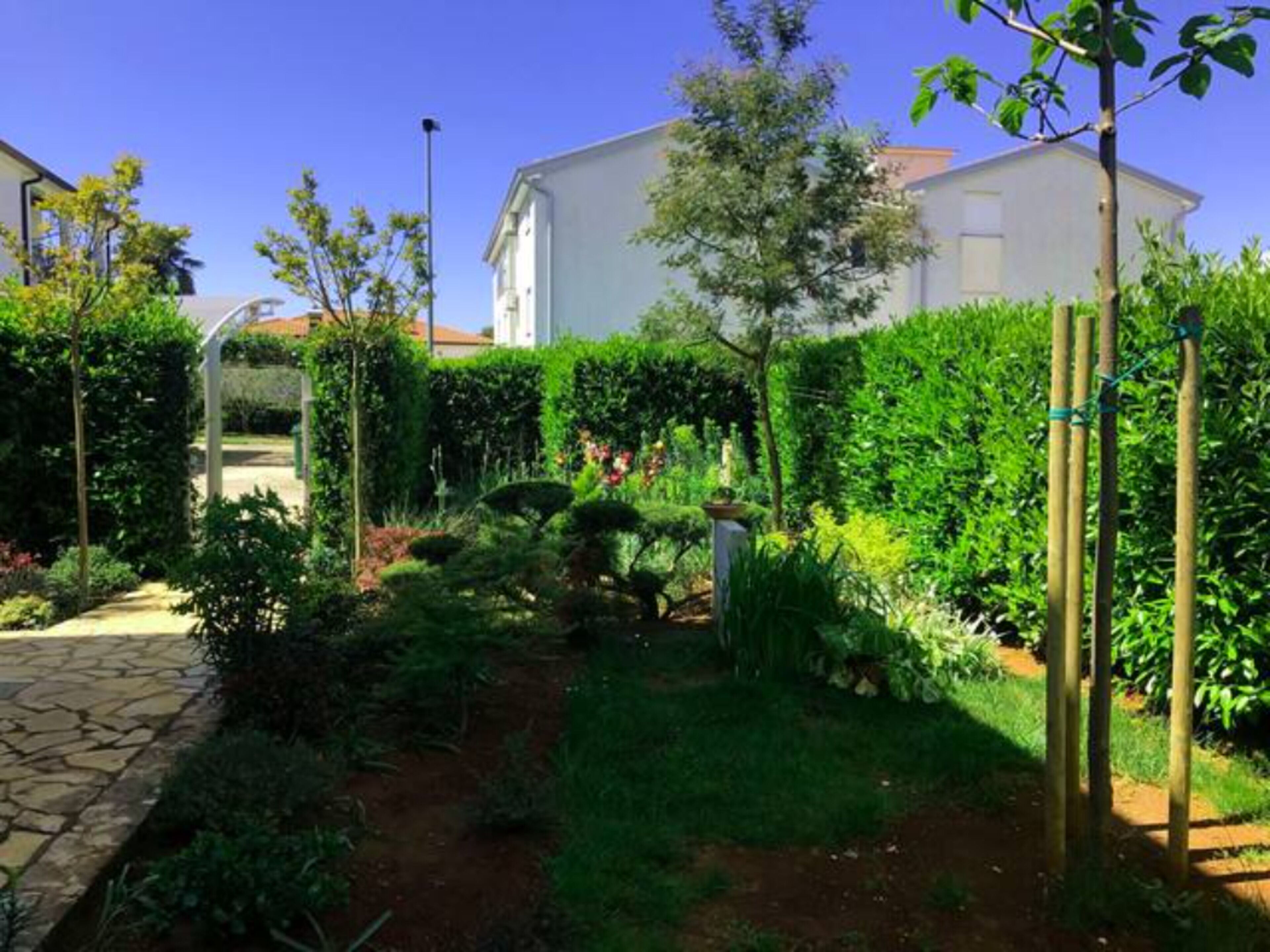 Jardín