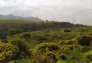 Miscellaneous - Spacious 3BR apartment near Lisbon & Sintra - great for families and groups (Algueirão-Mem Martins)