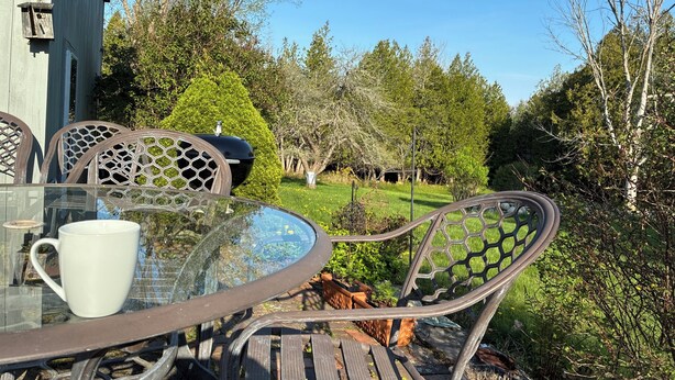 Un tavolo con piano in vetro e sedie in metallo, una tazza bianca e vista su un giardino con alberi e un edificio sullo sfondo.