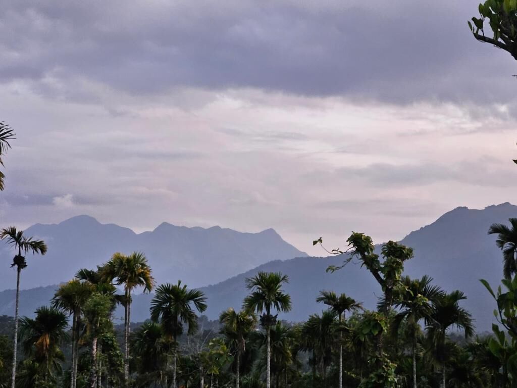 디럭스 더블룸, 발코니, 산 전망 | 기타