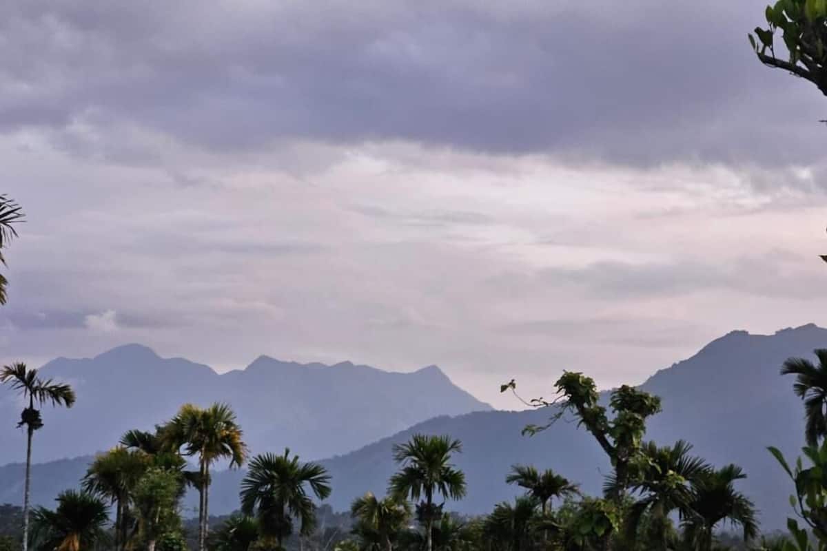 Kahden hengen deluxe-huone, parveke, vuoristonäköala | Sekalaista