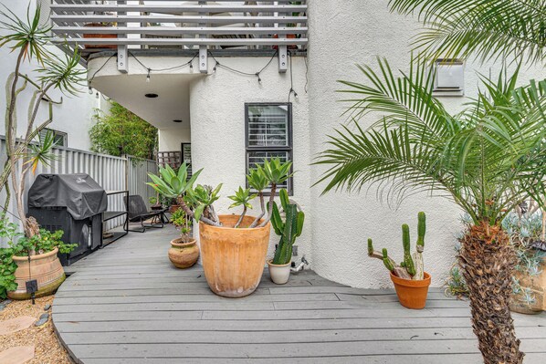 Interior - Walk to Venice Beach & More! Serene Apt w/ Patio (Venice)