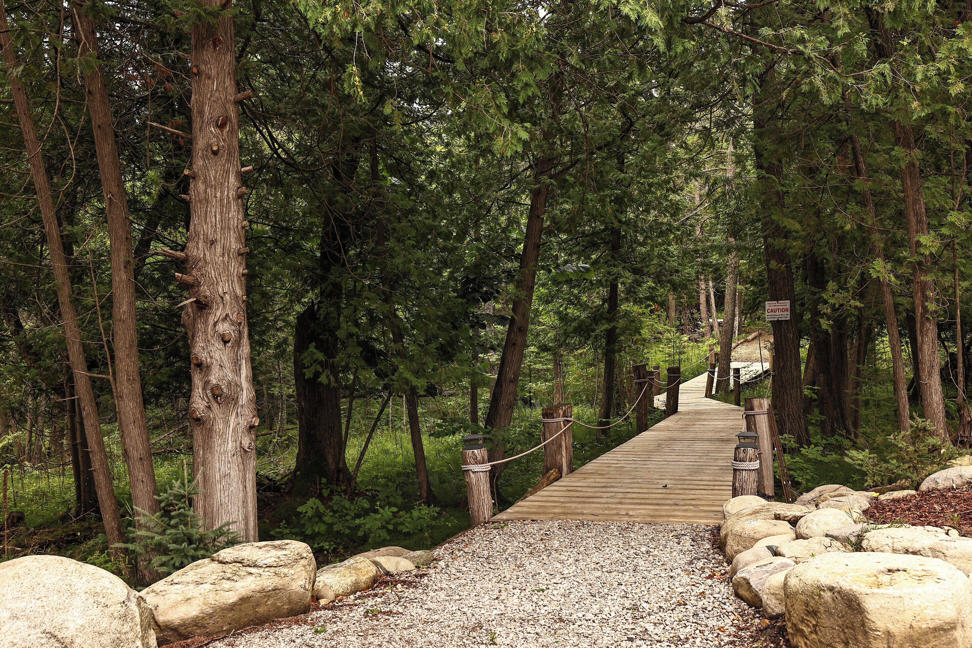 A wooden boardwalk through a forest with trees and rocks.