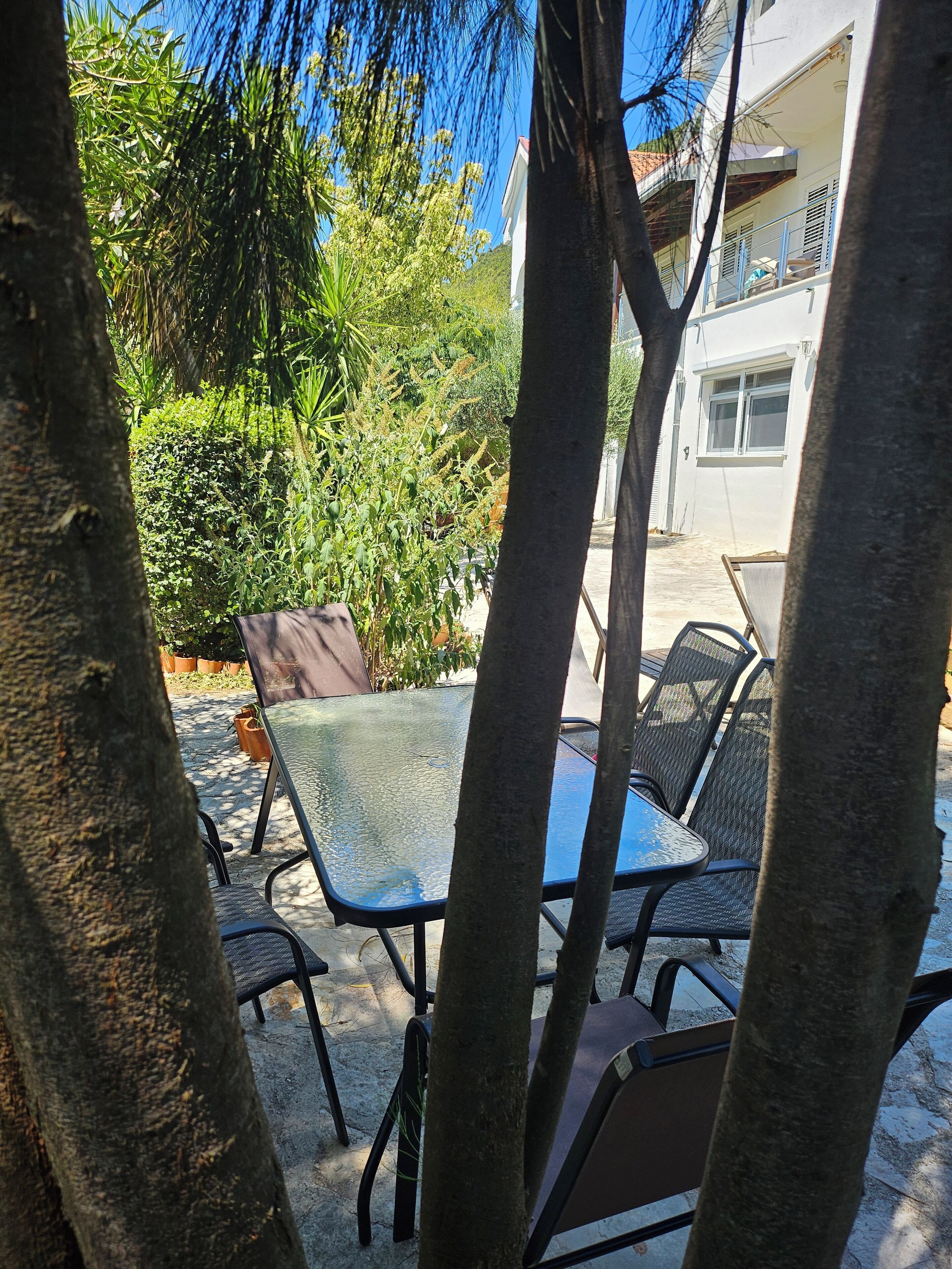 An outdoor seating area with a glass table and metal chairs, surrounded by trees and potted plants.