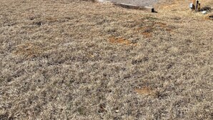 Un campo abierto con un camino de tierra, postes de electricidad y vegetación escasa.