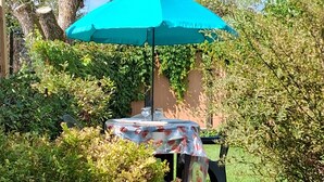 Une table sous un parasol bleu, entourée de verdure et d’une clôture en bois.