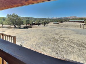 Property grounds - Bugling Elk Cabinette: Studio + Mountain Views (Alto)