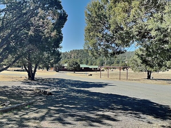 A paved area with trees, a building with a green roof, and a covered structure. - Pine Lodge Cabin: Spacious + Mountain Views (Alto)