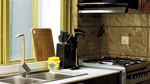 Una cocina con estufa a gas, un lavamanos y una ventana con vistas.