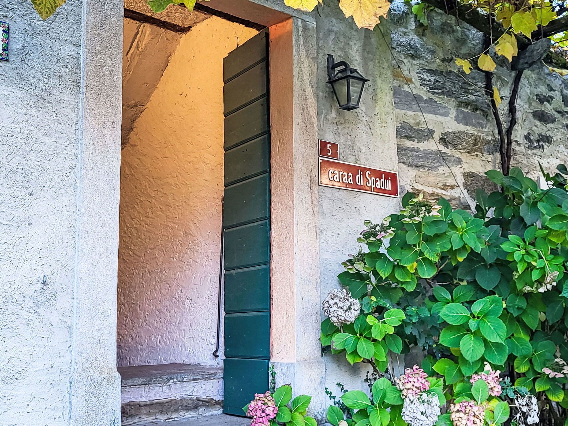 Dettaglio esterni