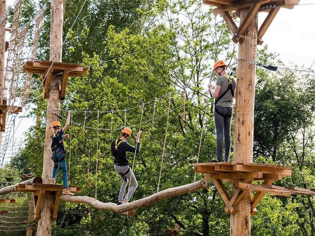 Drei Personen auf Holzplattformen mit Seilen, umgeben von Bäumen.