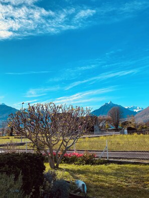 A landscape with a clear sky, a tree, and mountains in the background. - 360° View of the Pyrenees: Nature, Cycling, and Comfort (Argelès-Gazost)