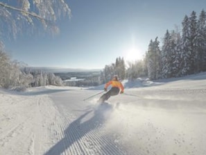 House | Snow and ski sports