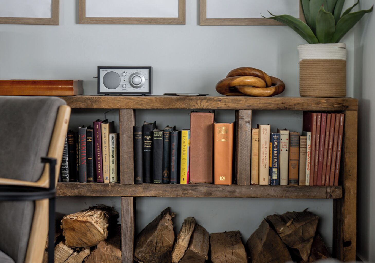 A bookshelf with books, a radio, and a plant.
