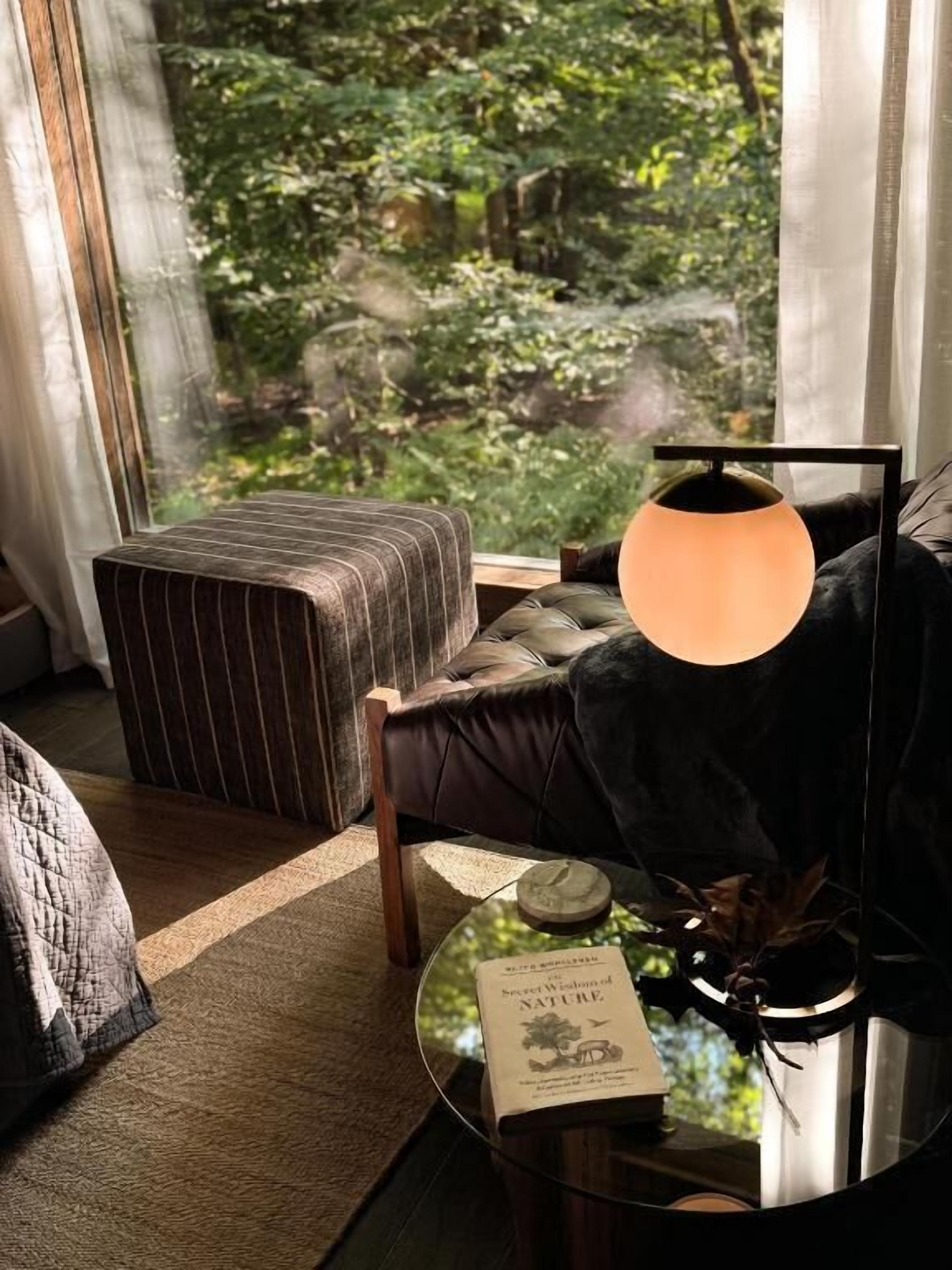 Stuga Deluxe - uteplats - utsikt mot trädgården