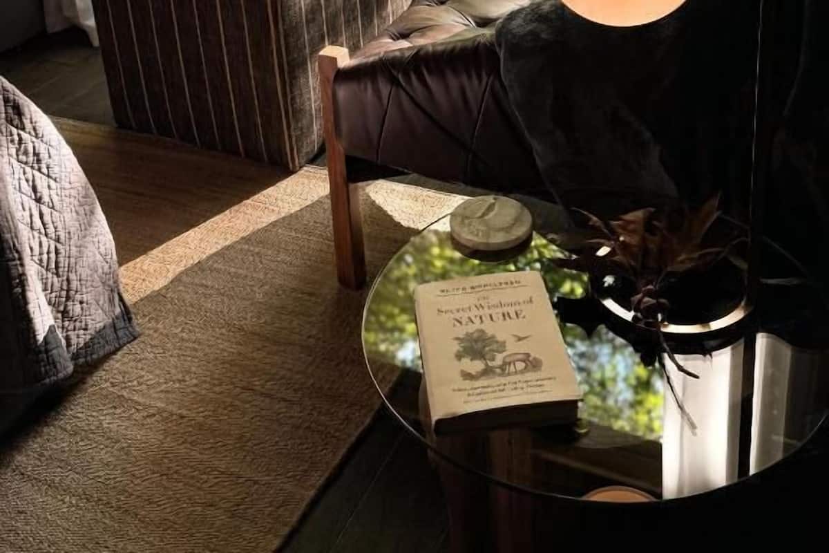 Stuga Deluxe - uteplats - utsikt mot trädgården