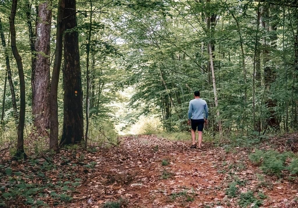 A forest path with a person walking away from the camera.