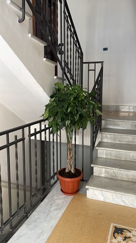 In downtown Salerno, spacious apartment, private parking, electric vehicle charging, fast Wi-Fi, comfort