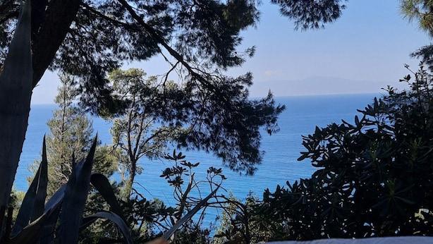 A table with a cup of coffee and pastries, overlooking a body of water and trees. - Dryades Hotel (Kassandra)