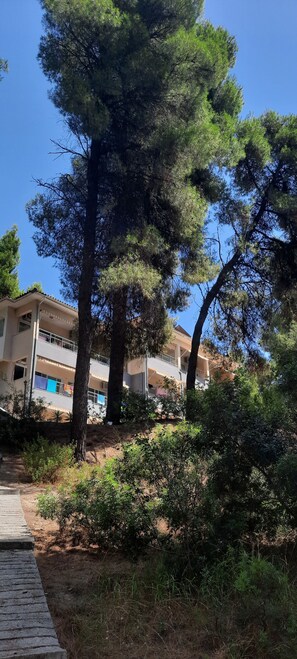 A building with multiple balconies, surrounded by trees and greenery. - Dryades Hotel (Kassandra)