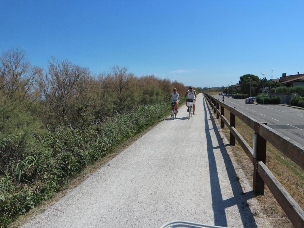 A paved path with a wooden railing on one side and a road on the other.