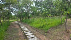 Miscellaneous - TCTC & CAMP (Morogoro Region)