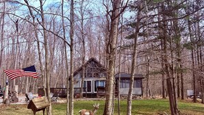 A cabin surrounded by trees, a wooden birdhouse, and an American flag.