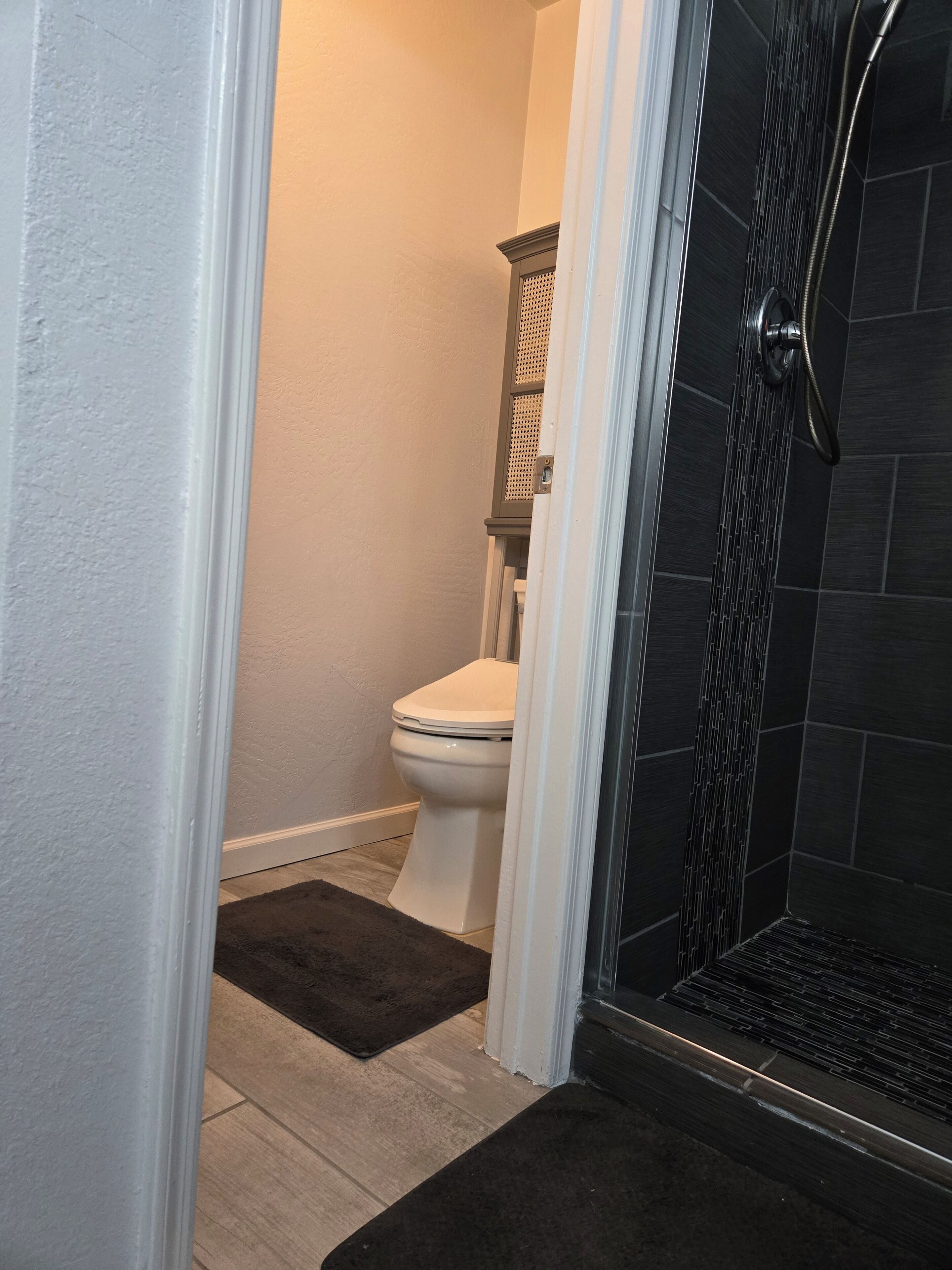 Et badeværelse med toilet, bruser og væg med mørke fliser.