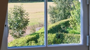Une fenêtre donnant sur un paysage verdoyant, avec un rideau à motifs et un cadre blanc.