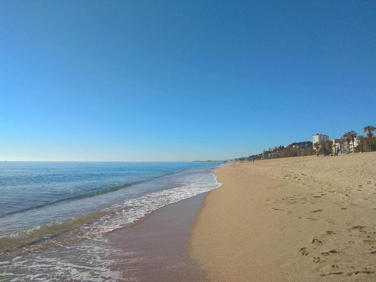 Een strand met heldere lucht, een zandstrand en gebouwen op de achtergrond.
