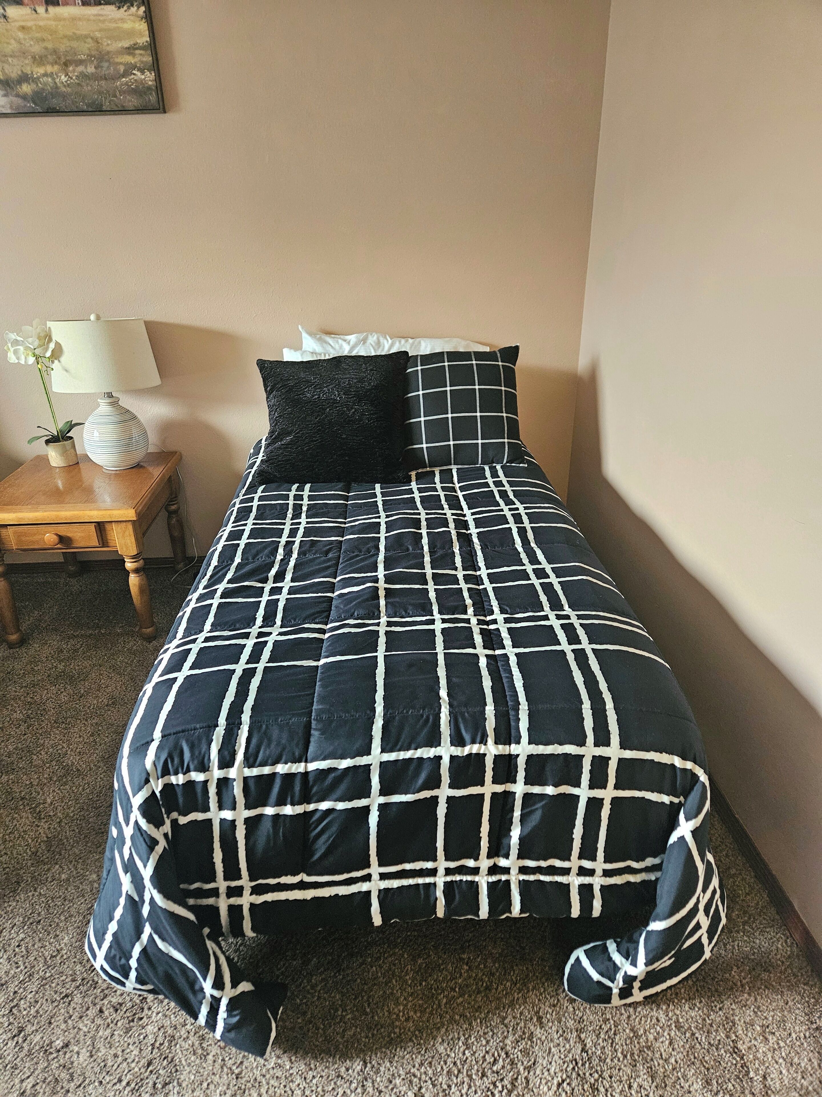 A bed with a checkered bedspread, a bedside table with a lamp and a small plant, and a wall with a painting.
