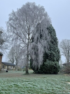 Property grounds - Countryside relaxation in a historic setting (Chevennes)