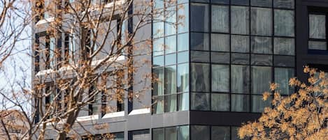 A modern building with large windows and a tree in the foreground.