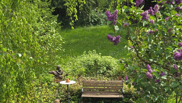 Ein Garten mit Bank und Tisch, umgeben von üppigem Grün und violetten Blüten.