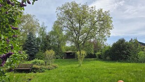 Ein grüner Garten mit einer Bank, Bäumen und einem kleinen Gebäude.