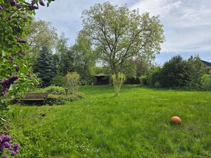 Ein grüner Garten mit einer Bank, Bäumen und einem kleinen Gebäude.